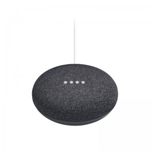 Earbuds & Speaker