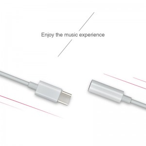 Earbuds & Speaker