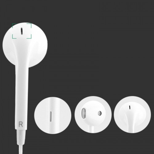 Earbuds & Speaker