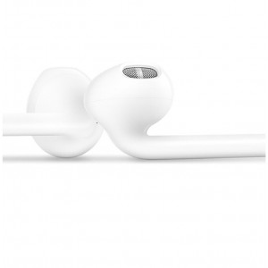 Earbuds & Speaker