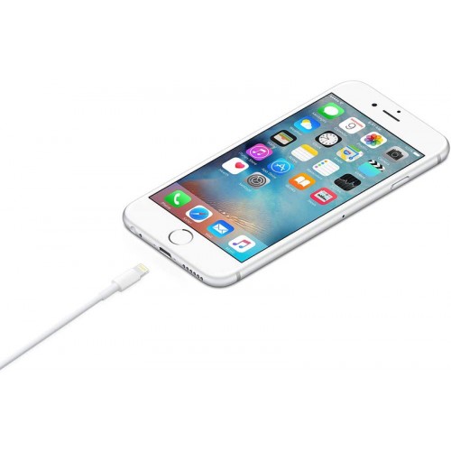 Charger & Cable