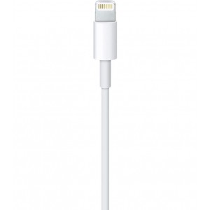 Charger & Cable
