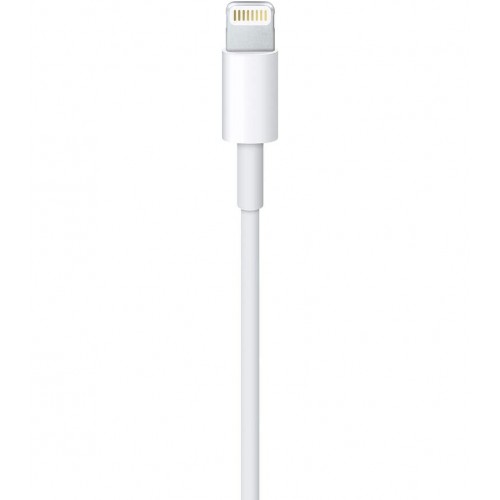 Charger & Cable