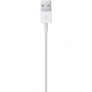 Charger & Cable