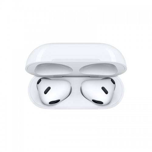 Earbuds & Speaker