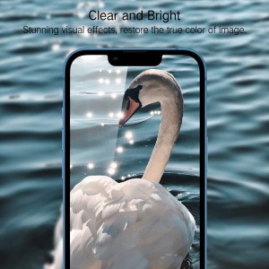 Screen Protector