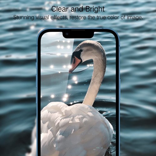 Screen Protector