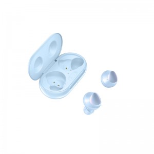 Earbuds & Speaker
