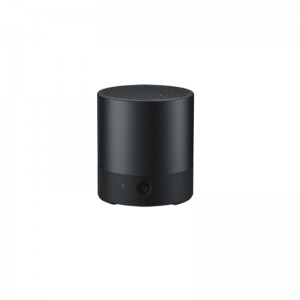 Earbuds & Speaker
